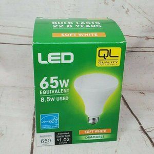 Quality Light Source LED 65 Watt Energy Star Soft White Dimmable Light Bulb